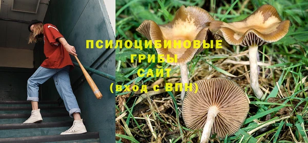 кристаллы Бородино