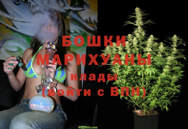 прущие грибы Белокуриха
