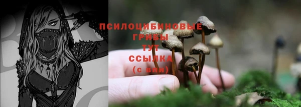 кристаллы Бородино