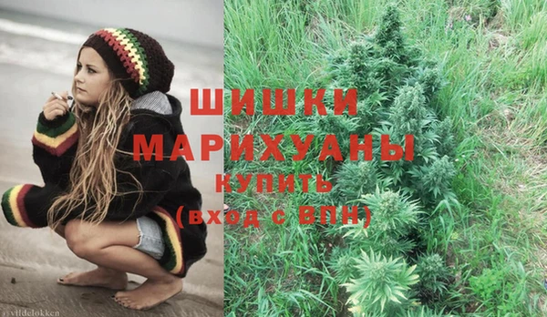 амф Бронницы