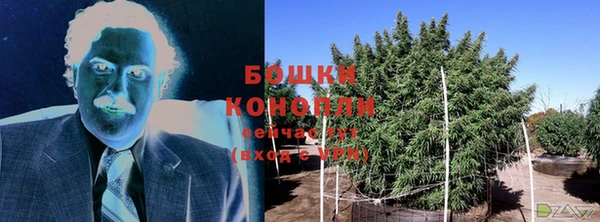 амф Бронницы
