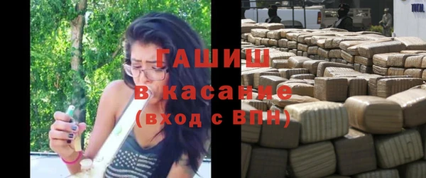 прущие грибы Белокуриха