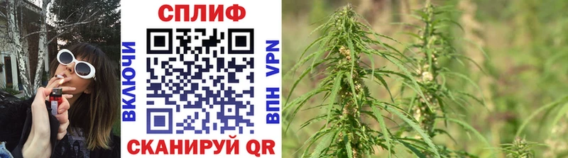 Бошки марихуана планчик  где продают наркотики  Вилюйск 